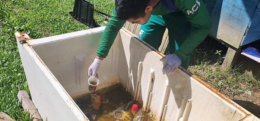 A Fundação de Vigilância em Saúde do Amazonas – Dra. Rosemary Costa Pinto (FVS-RCP), unidade vinculada à Secretaria de Estado de Saúde do Amazonas (SES-AM), divulga, nesta quinta-feira (30), o Informe Epidemiológico das Arboviroses no Amazonas. 