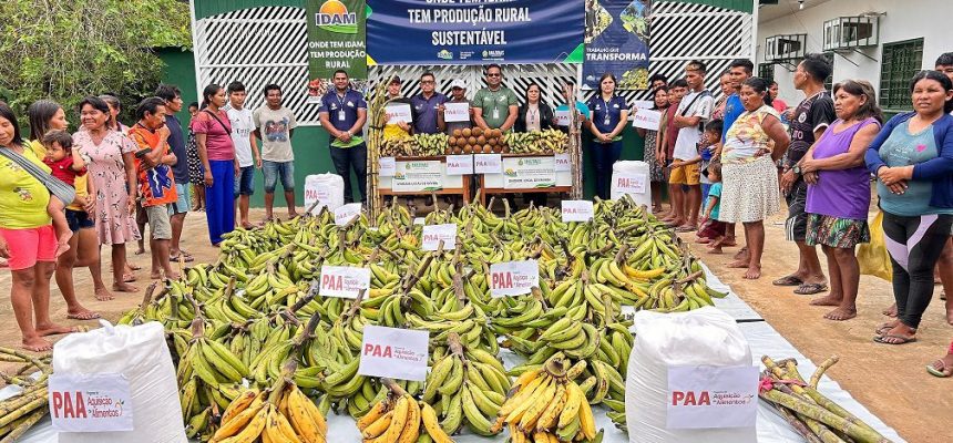 Nesta sexta-feira (07/03), quatro toneladas de alimentos produzidas por 16 agricultores familiares indígenas de Envira (a 1.208 quilômetros de Manaus) tiveram como destino a Casa de Apoio à Saúde Indígena (Casai) do município. A logística para a entrega dos itens, que foram adquiridos por meio do Programa de Aquisição de Alimentos (PAA) Indígena, foi efetuada pelo Instituto de Desenvolvimento Agropecuário e Florestal Sustentável do Estado do Amazonas (Idam). A entrega de alimentos à Casai incluiu pupunha, banana pacovã, mamão, melancia, açaí, buriti, cana-de-açúcar, galinha caipira, pirarucu, farinha de mandioca, limão e macaxeira, que correspondem às produções de agricultores familiares da etnia Kulina. “O PAA indígena é uma política pública que beneficia os agricultores familiares indígenas, incentiva a atividade agrícola e que coloca alimento na mesa de pessoas em situação de insegurança alimentar”, disse o gerente da Unidade Local (UnLoc) Idam/Envira, Cerlandio Lemos, ao acrescentar que R$ 109,9 mil devem ser injetados na economia local por conta da comercialização dos itens. FOTOS: Divulgação/Idam O gerente informou, ainda, que a atuação do Idam tem sido fundamental para que os trabalhadores rurais tenham acesso ao PAA Indígena, uma vez que o instituto é o responsável pelo cadastro dos agricultores familiares indígenas no programa. “Além disso, a UnLoc presta toda a assistência ao público beneficiado, seja com orientações, na produção, regularização e, ainda, na logística dos alimentos cultivados”, destacou. Os alimentos, recolhidos e pesados pela equipe técnica da UnLoc Idan/Envira, serão distribuídos pela Casai a famílias indígenas das aldeias Cacau, Buriti e Capoeira, bem como a famílias da sede do município.