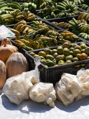 O Governo do Amazonas adquiriu, nesta sexta-feira (25/07), três toneladas de alimentos de produtores rurais do município de Envira (a 1.208 quilômetros de Manaus). A ação foi coordenada pela Secretaria de Estado de Produção Rural (Sepror), com o apoio do Instituto de Desenvolvimento Agropecuário e Florestal (Idam).