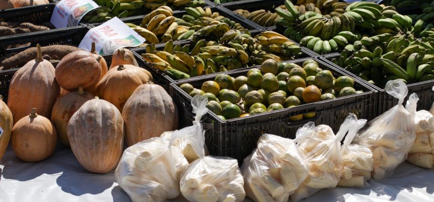O Governo do Amazonas adquiriu, nesta sexta-feira (25/07), três toneladas de alimentos de produtores rurais do município de Envira (a 1.208 quilômetros de Manaus). A ação foi coordenada pela Secretaria de Estado de Produção Rural (Sepror), com o apoio do Instituto de Desenvolvimento Agropecuário e Florestal (Idam).